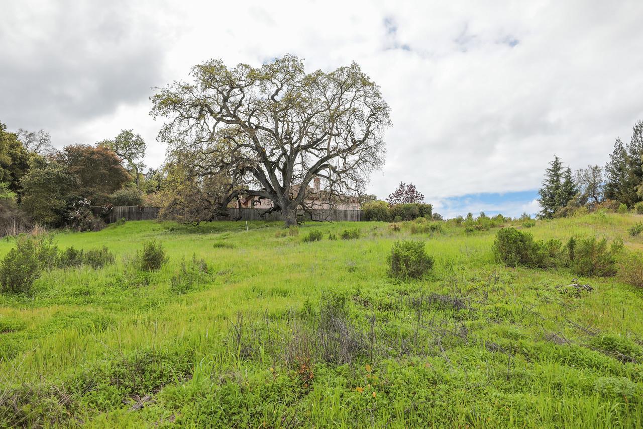 12131 Oak Park Ct - Photo 1