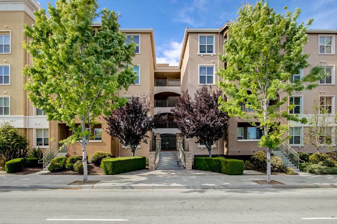 1445 Fruitdale Ave 325 - Photo 1