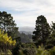 34 Tehama - Photo 1