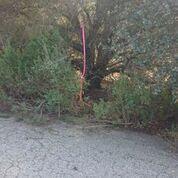 00 Brown Rd - Photo 1