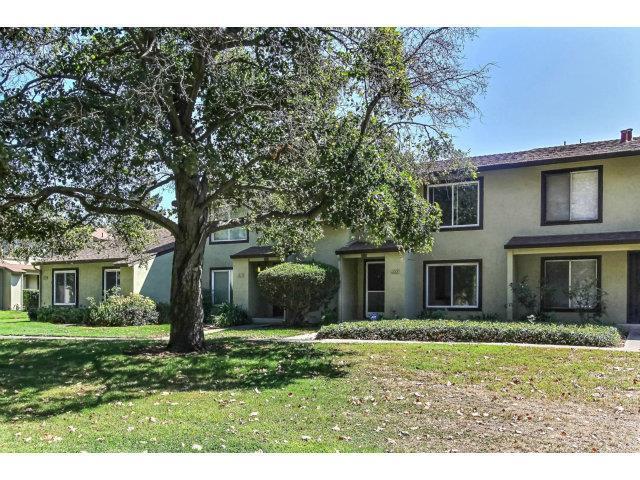 1147 Ribisi Cir - Photo 1