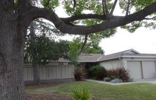 1822 Limetree Ln - Photo 1