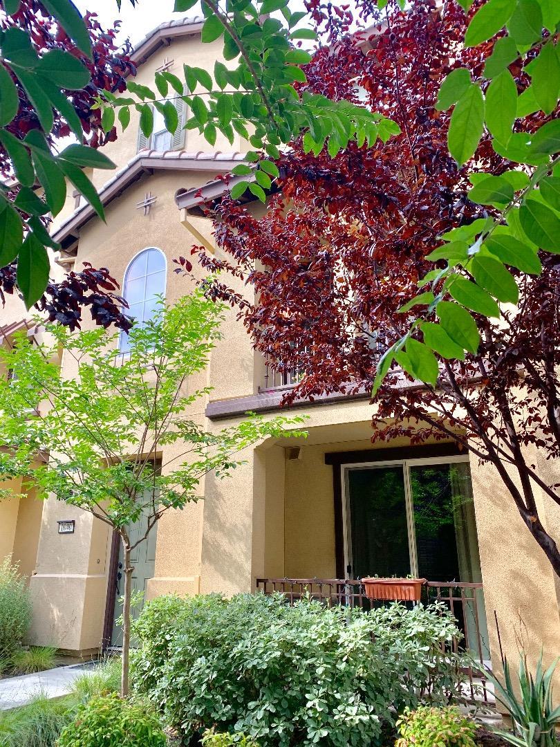 1040 Coriander Walkway - Photo 1