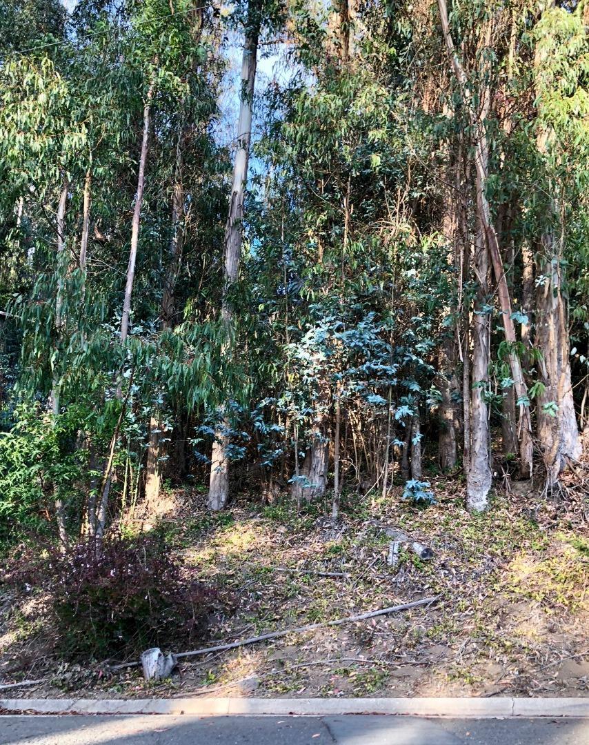 0 Del Monte Rd - Photo 1