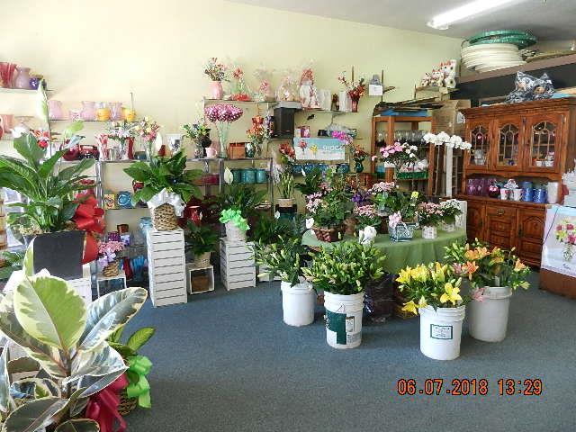 - Photo 1