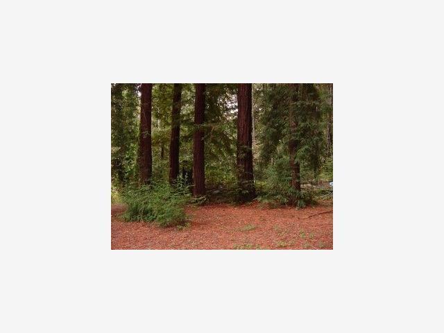 2020 Upper Highland - Photo 1