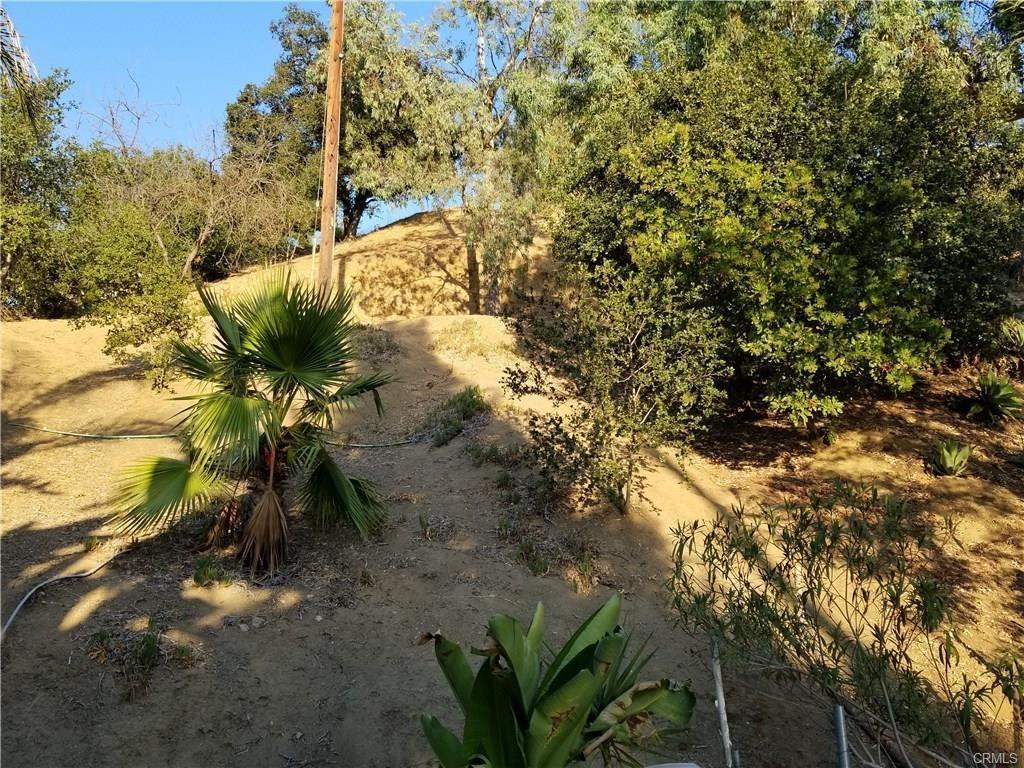 1640 Begonia - Photo 1