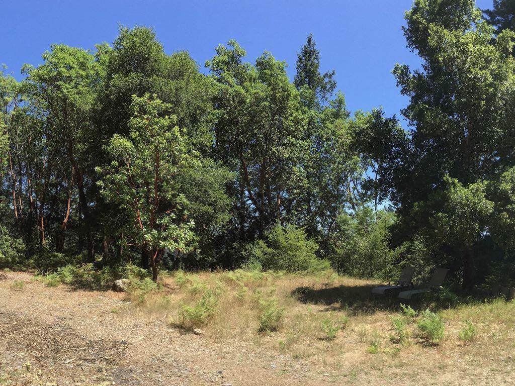 Bohnen Rd - Photo 1 Bohnen Rd - Photo 1
