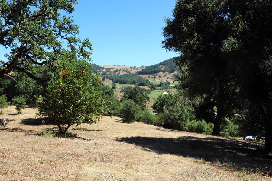 6 Arroyo Sequoia - Photo 1