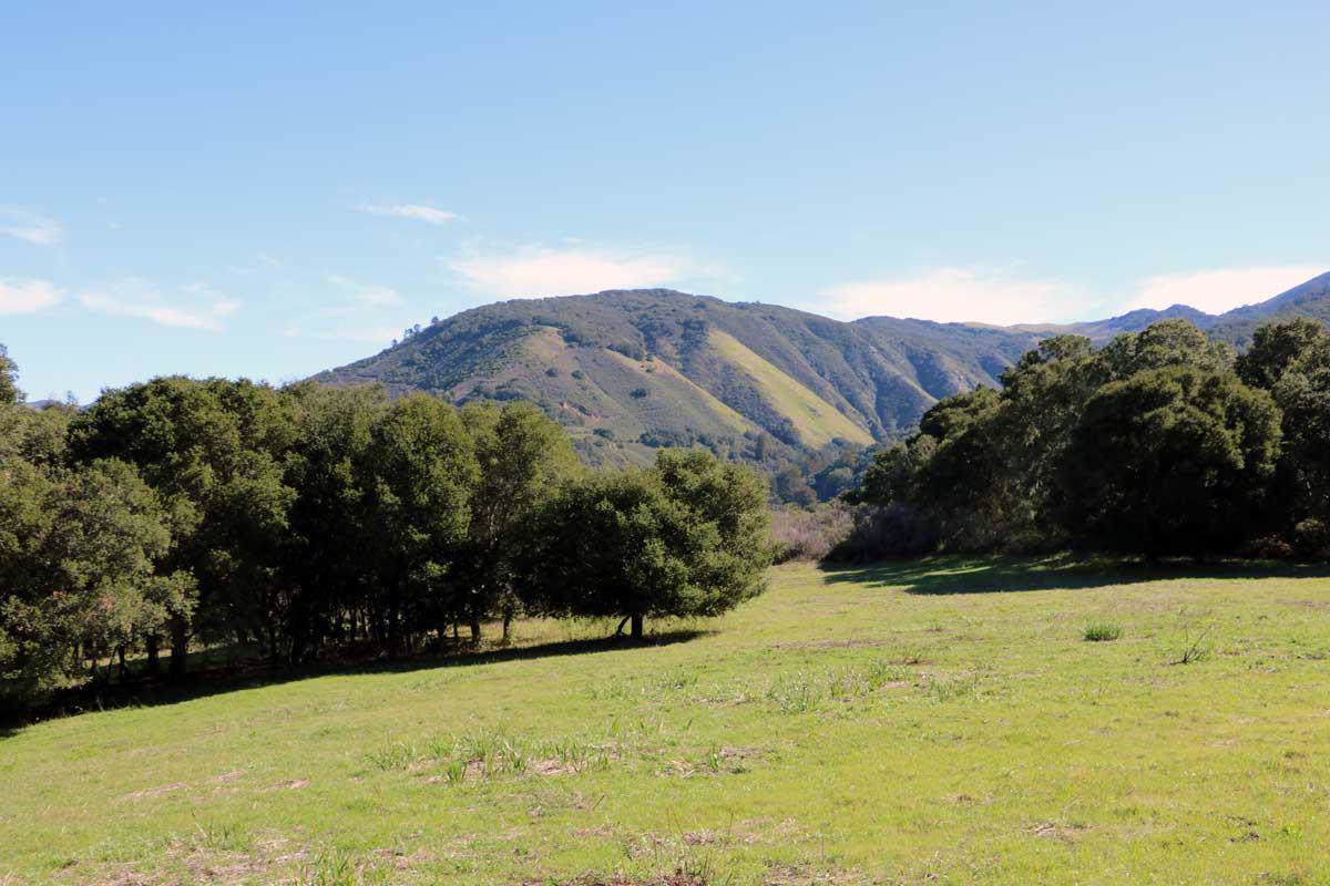 7 Holding Field Run - Photo 1