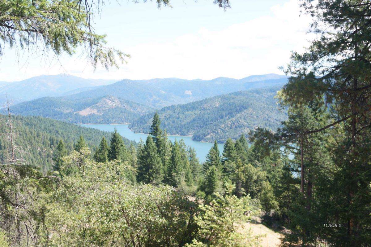 508 Bowerman Peak - Photo 1