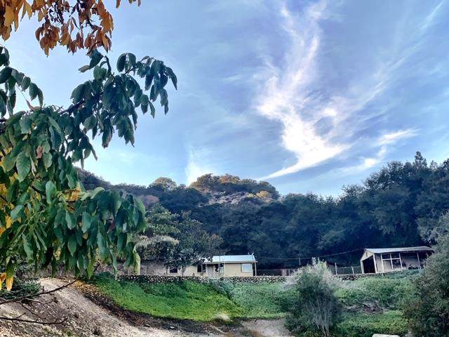 46440 Arroyo Seco Rd - Photo 1