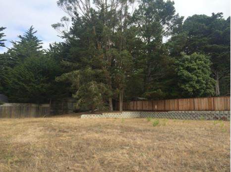 515 Hermosa Ave - Photo 1