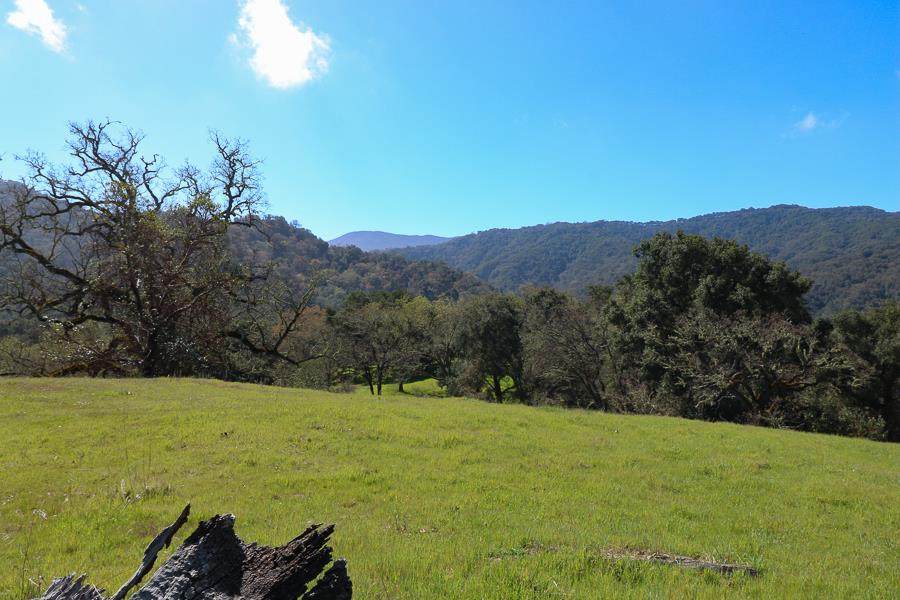 27 Arroyo Sequoia - Photo 1