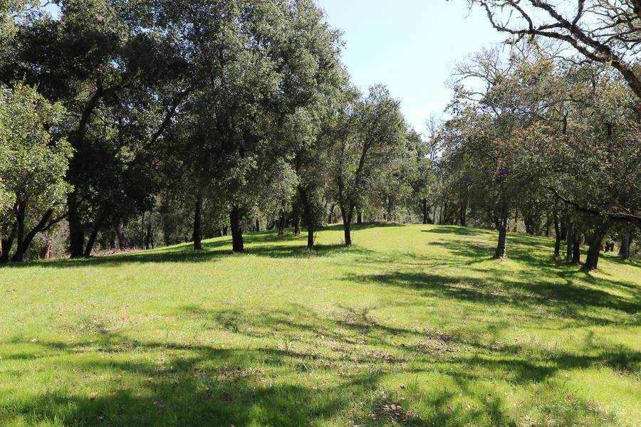 33 Arroyo Sequoia - Photo 1 33 Arroyo Sequoia - Photo 1