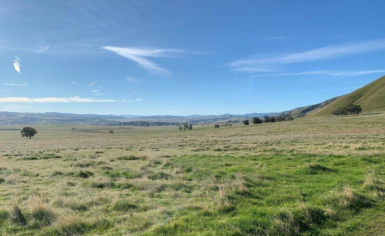 00 Little Panoche Rd - Photo 1