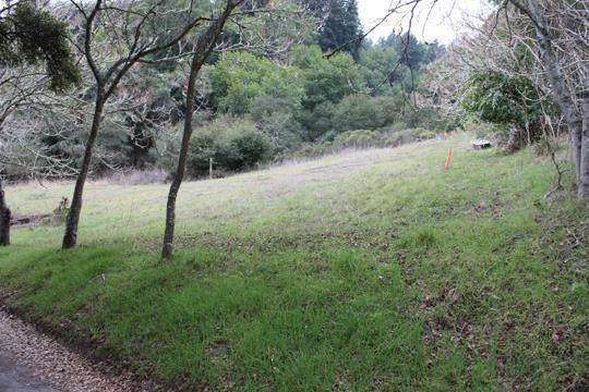 0 Braniforte Dr - Photo 1