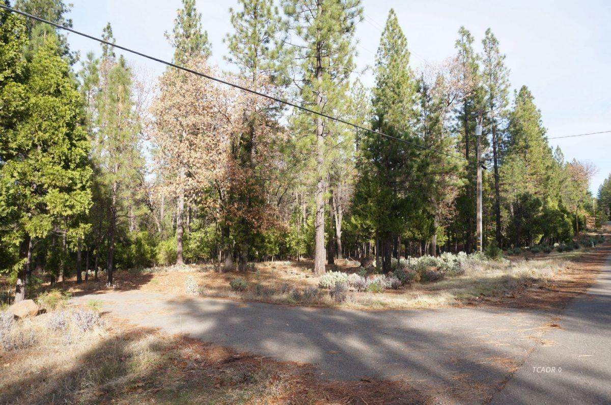 30607 Whitmore - Photo 1