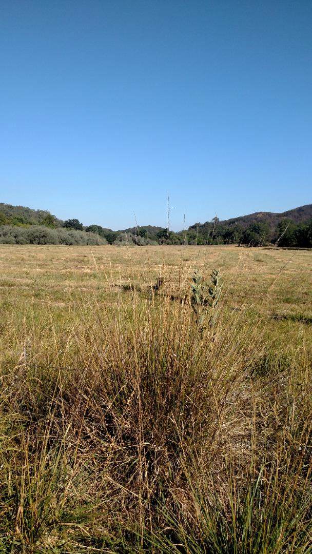 6030 Scotts Valley Rd - Photo 1