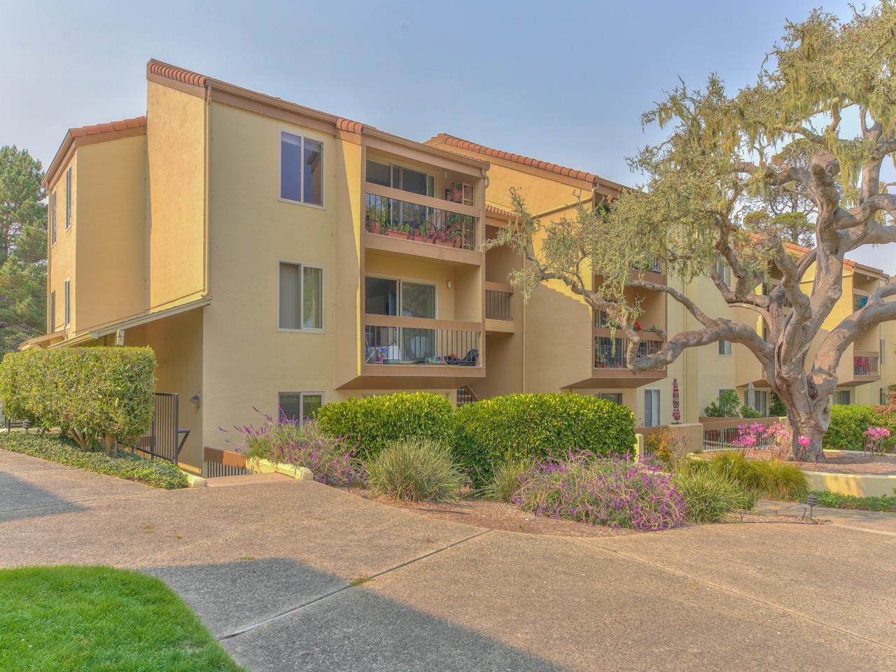 2309 Golden Oaks Ln 2309 - Photo 1