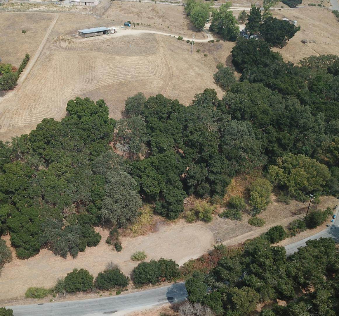 4800E San Juan Canyon Rd - Photo 1