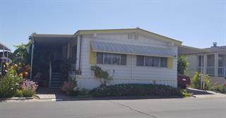 1225 Vienna Drive 313 - Photo 1