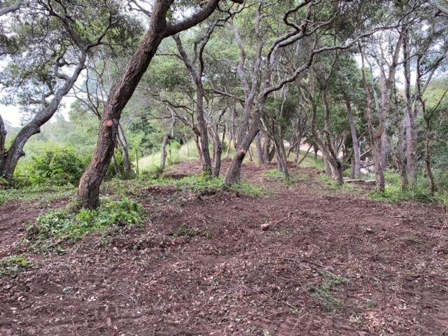 000 Petery Ln - Photo 1