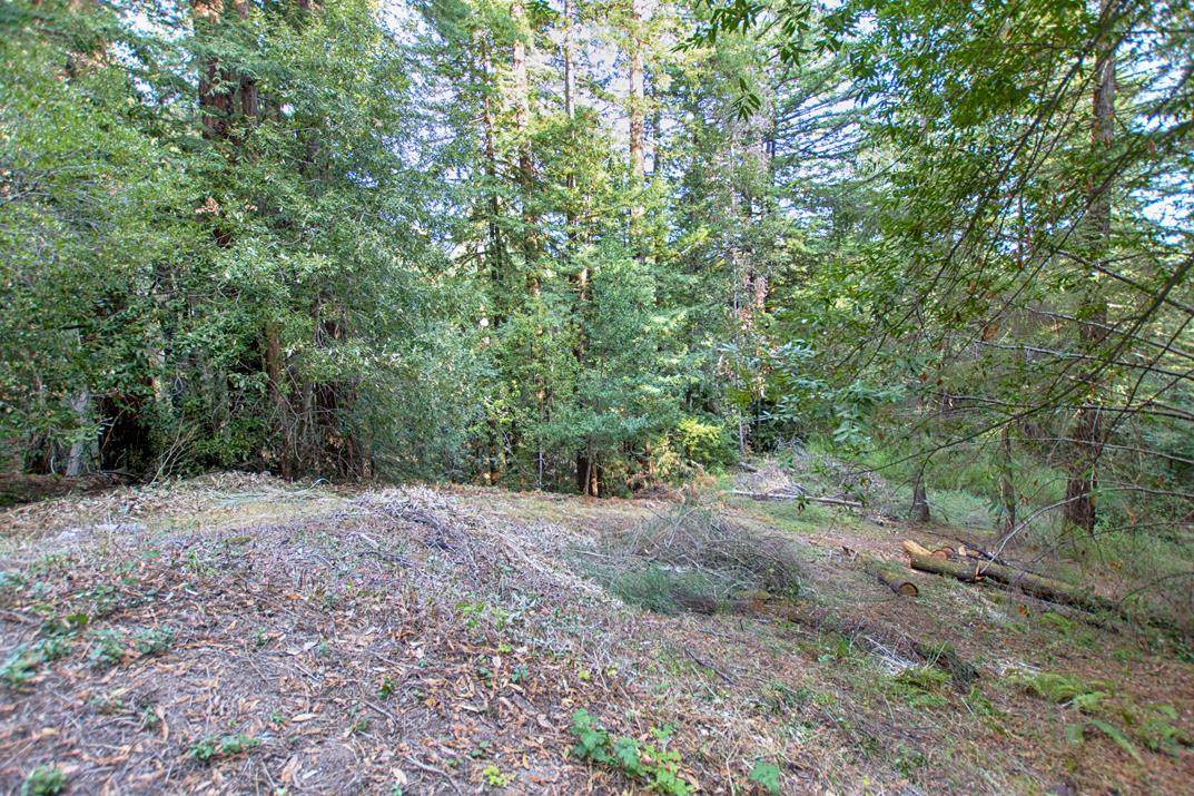 00 Vine Hill Rd - Photo 1
