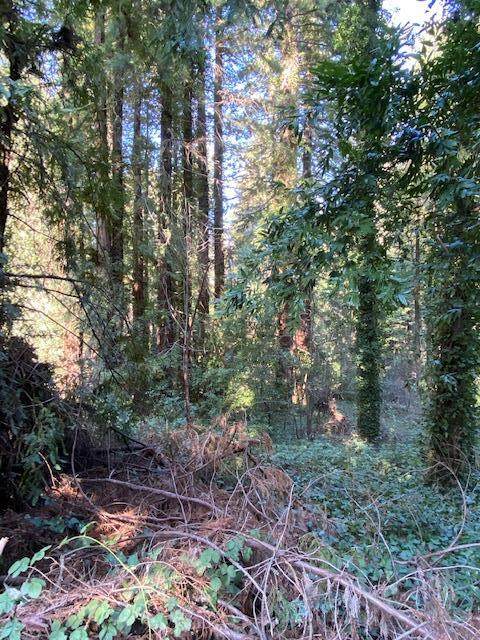 0000 Big Basin Way - Photo 1