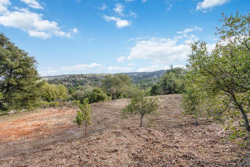 Lot 13 Alpine Rd - Photo 1