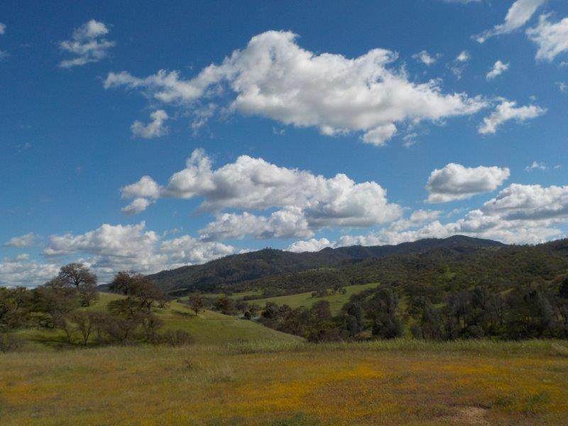 Lot D Panoche Rd - Photo 1