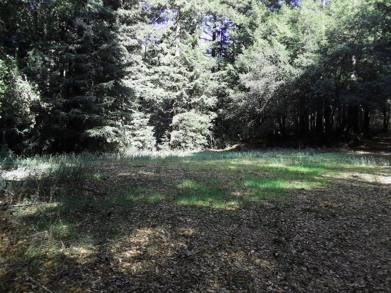 18400 Hwy.9 - Photo 1