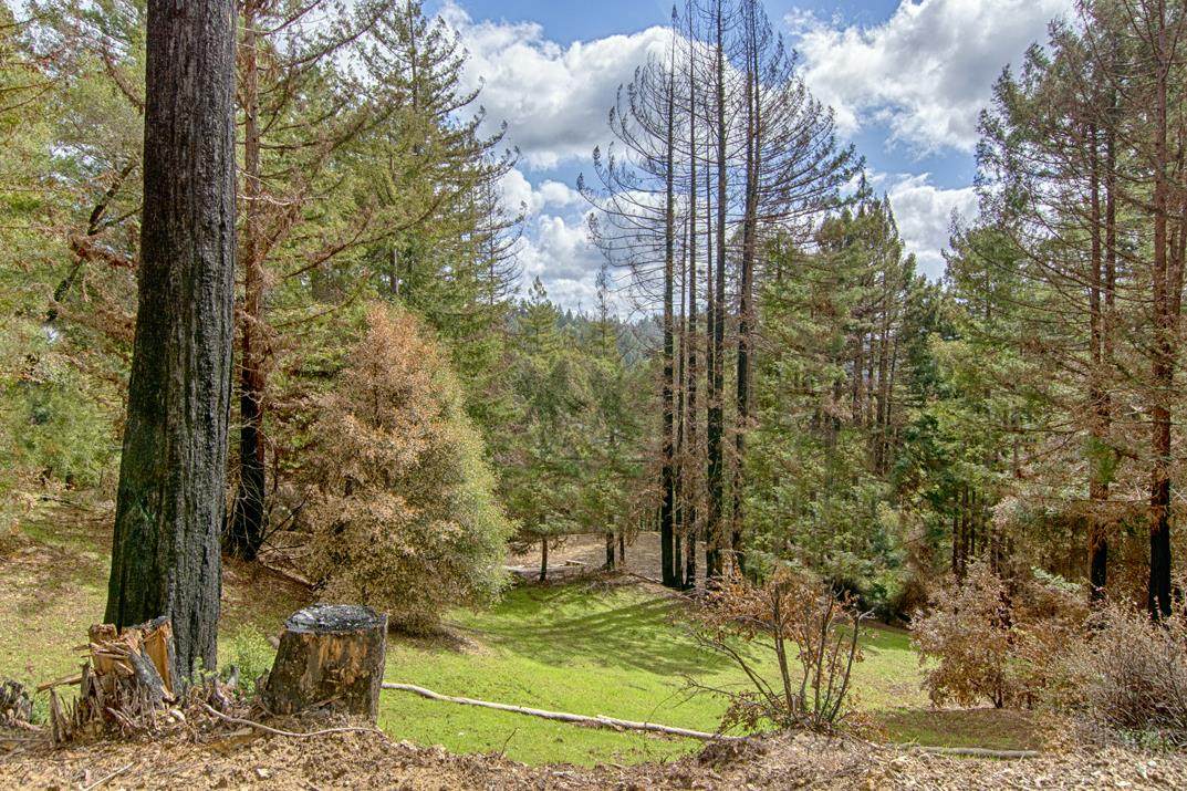 320 Everest Dr - Photo 1