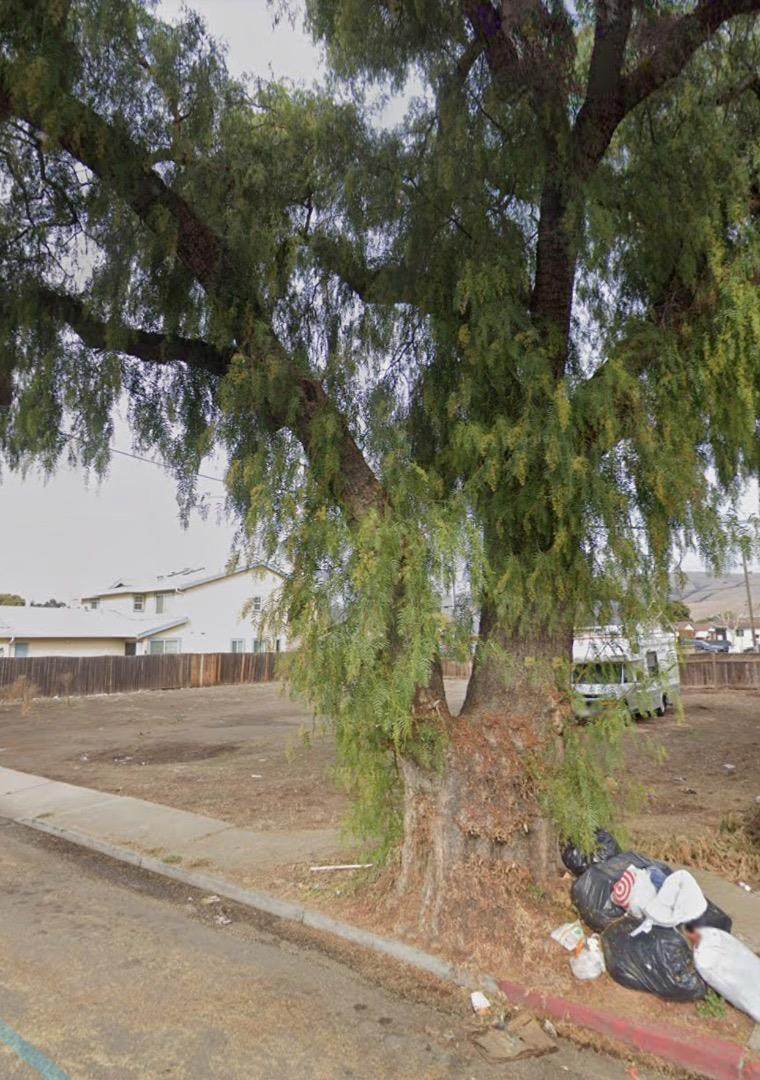 33852 11th - Photo 1