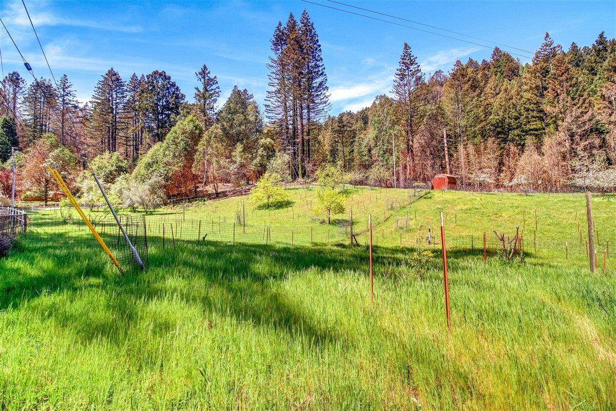 12250 Alba Rd - Photo 1