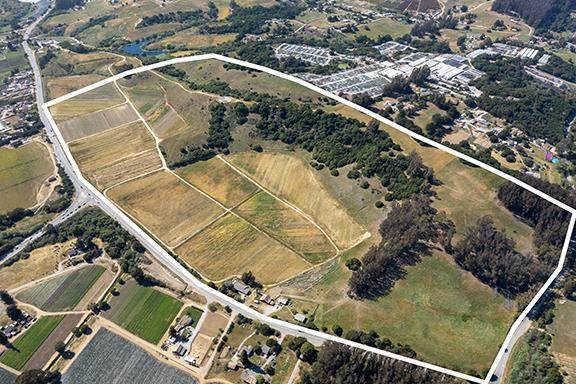 955 & 970 Hall Rd - Photo 1