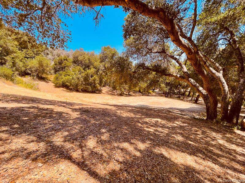 34160 Robinson Canyon Rd - Photo 1