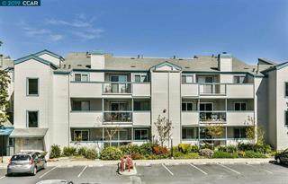 1410 Bel Air Dr 304 - Photo 1