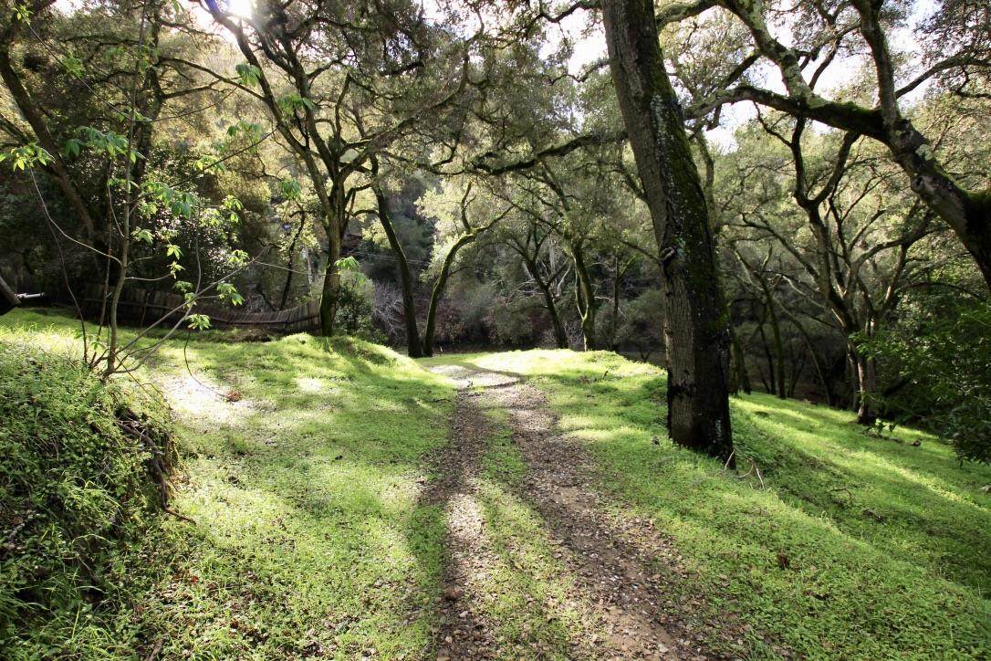 108 Hitchcock Cyn - Photo 1