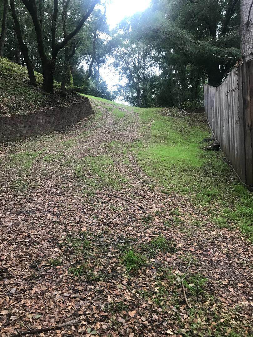 1310 Day Valley Rd - Photo 1