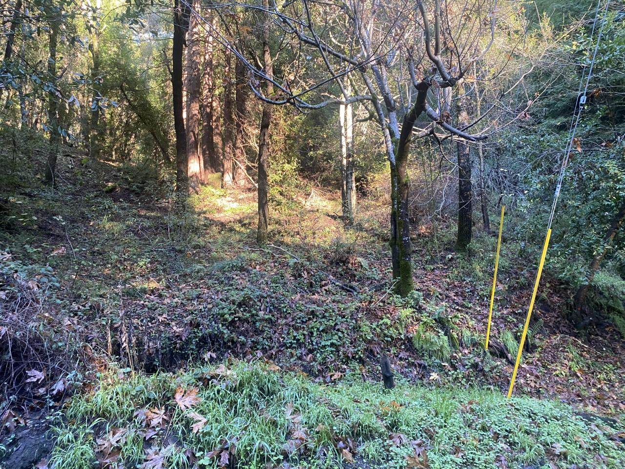 0 Redwood Drive - Photo 1