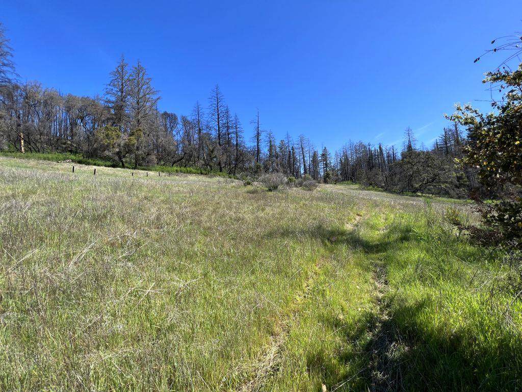 1100 Kings Hwy - Photo 1