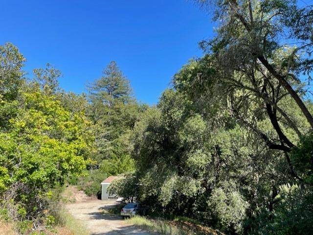 880 Nina Dr - Photo 1