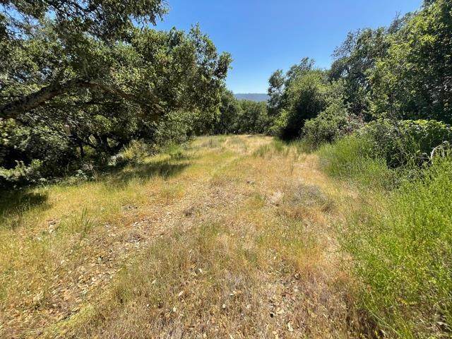 0 Poli Road - Photo 1