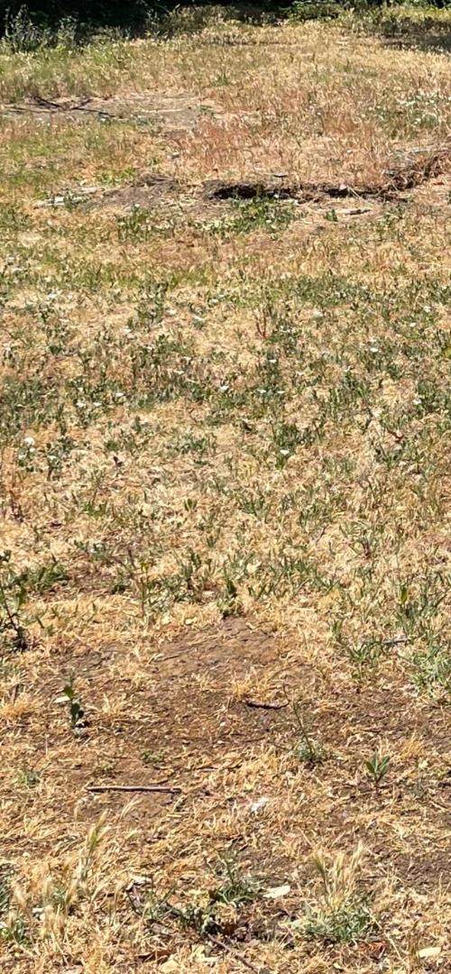 0000 Avacado Ave - Photo 1