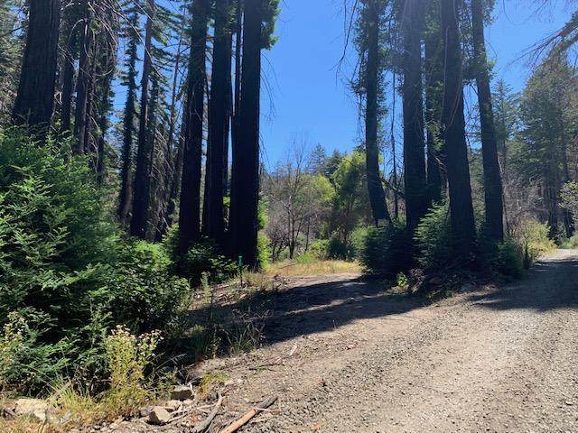 3885 Whitehouse Creek Rd - Photo 1