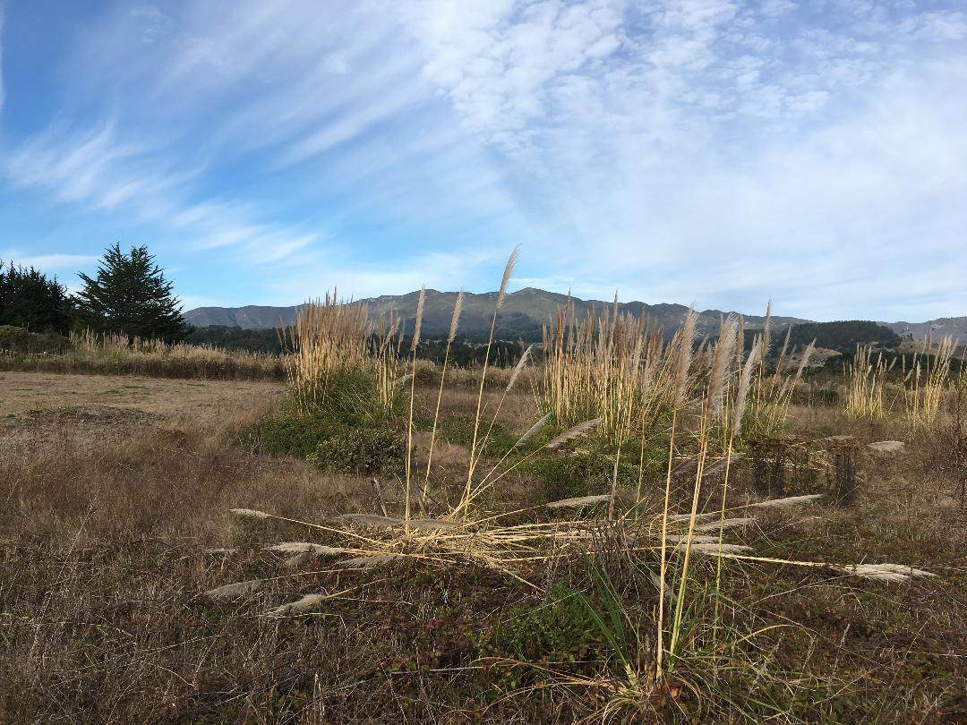 898 San Ramon - Photo 1