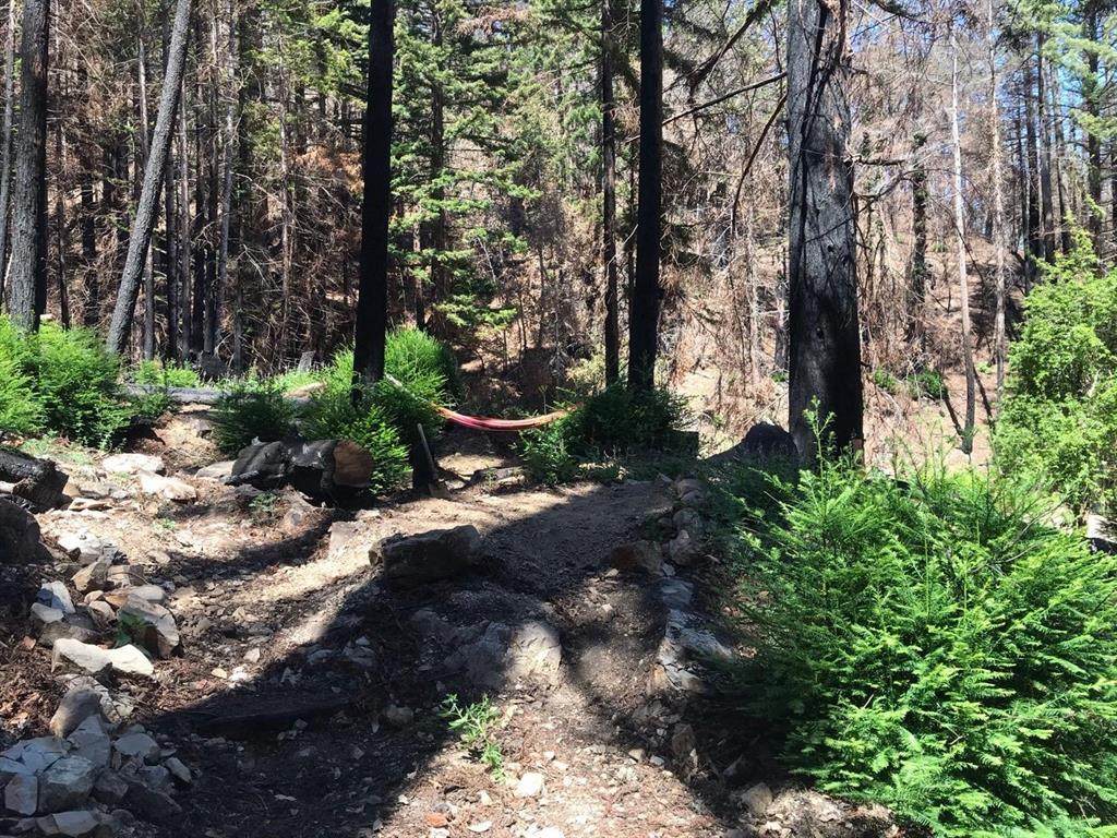 0 Whitehouse Creek - Photo 1