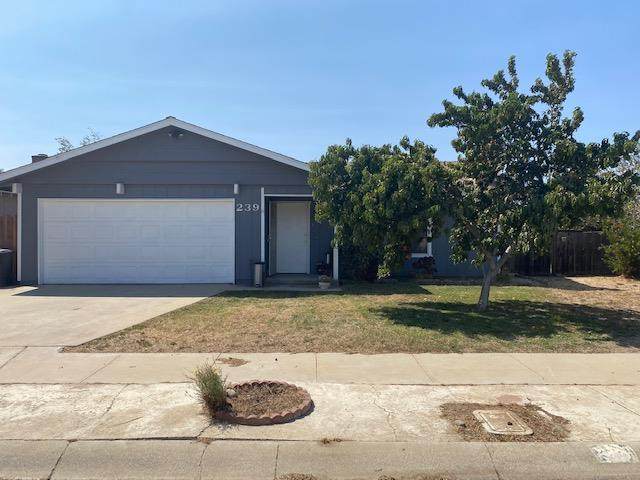 239 Larson Ln - Photo 1