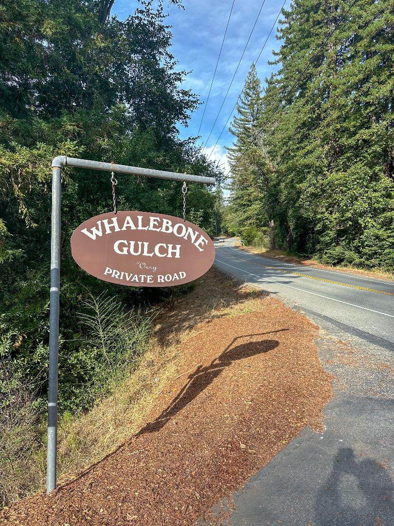 0 Whalebone Gulch - Photo 1